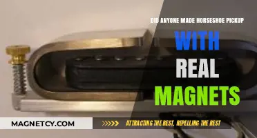 Innovative Horseshoe Pickup: The Power of Real Magnets Revealed