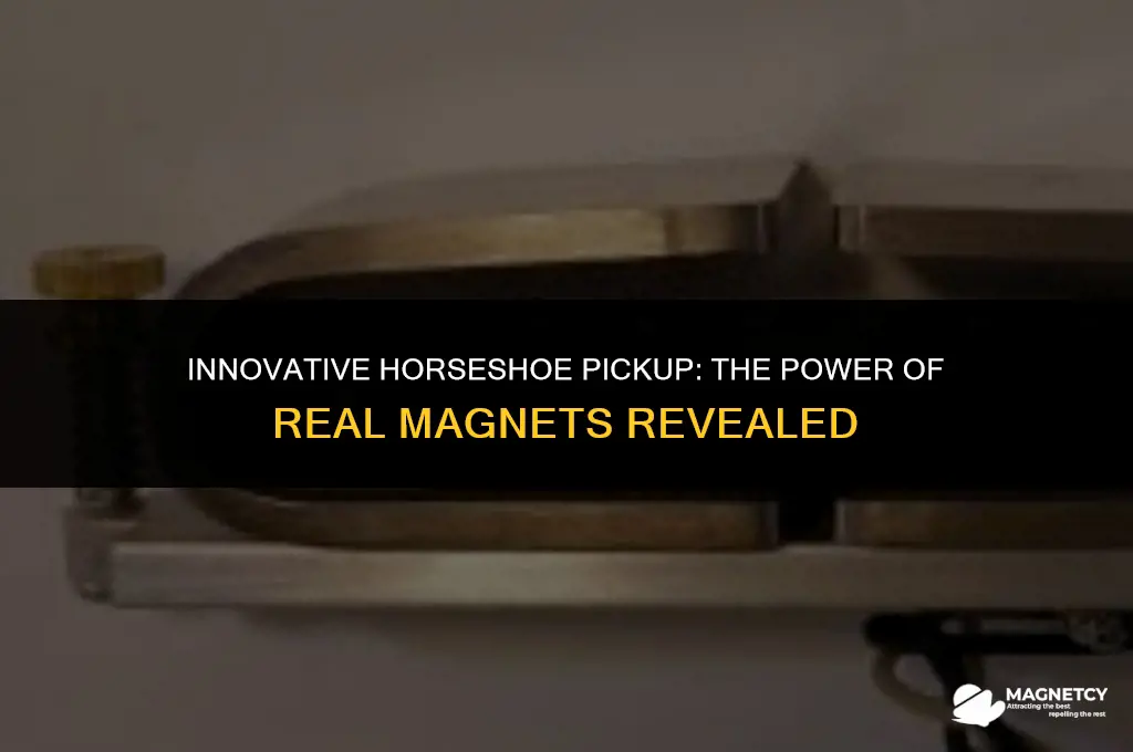 did anyone made horseshoe pickup with real magnets