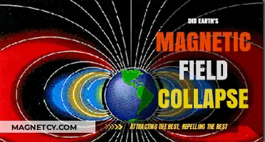 Did Earth's Magnetic Field Collapse? Exploring the Geomagnetic Mystery