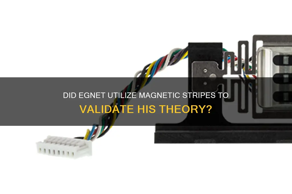 did egnet use magnetic stripes to support his theroy
