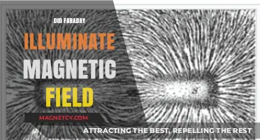Unveiling the Mystery: Did Faraday Truly Illuminate Magnetic Fields?