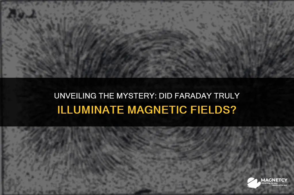 did faraday illuminate magnetic field