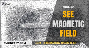 Unveiling the Mystery: Did Faraday Truly See Magnetic Fields?