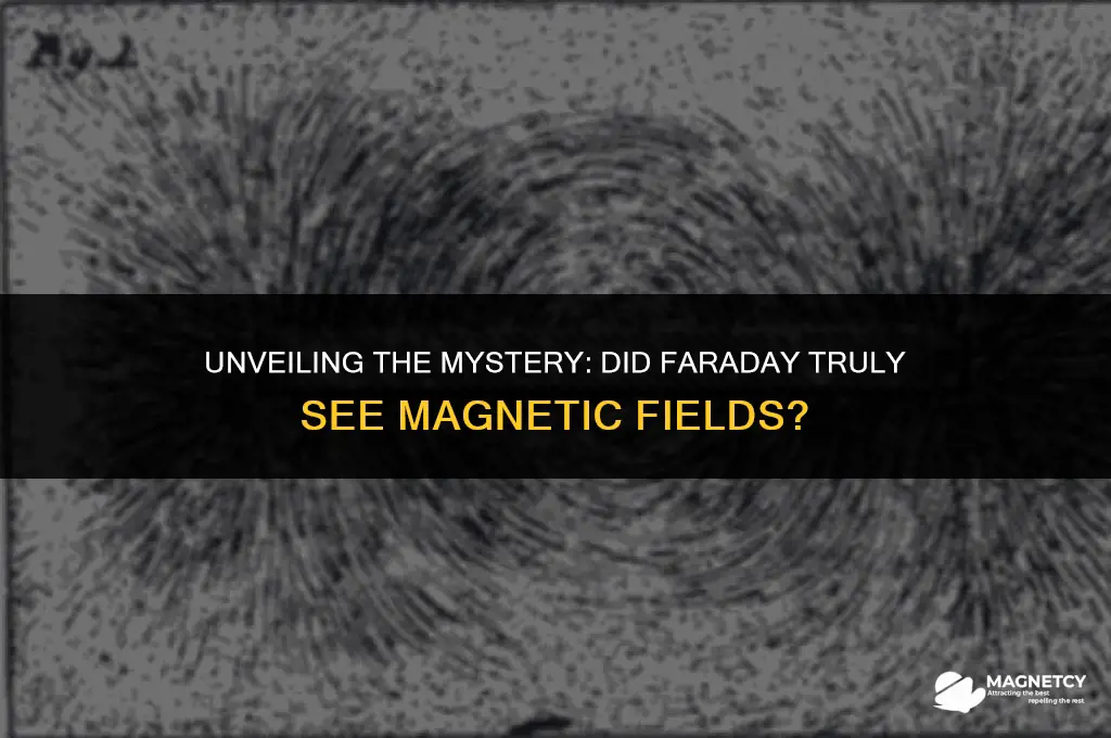 did faraday see magnetic field