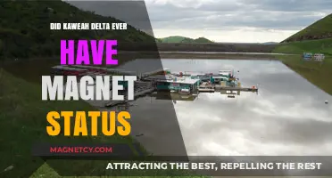 Exploring Kaweah Delta's Past: The Magnet Status Mystery Unveiled