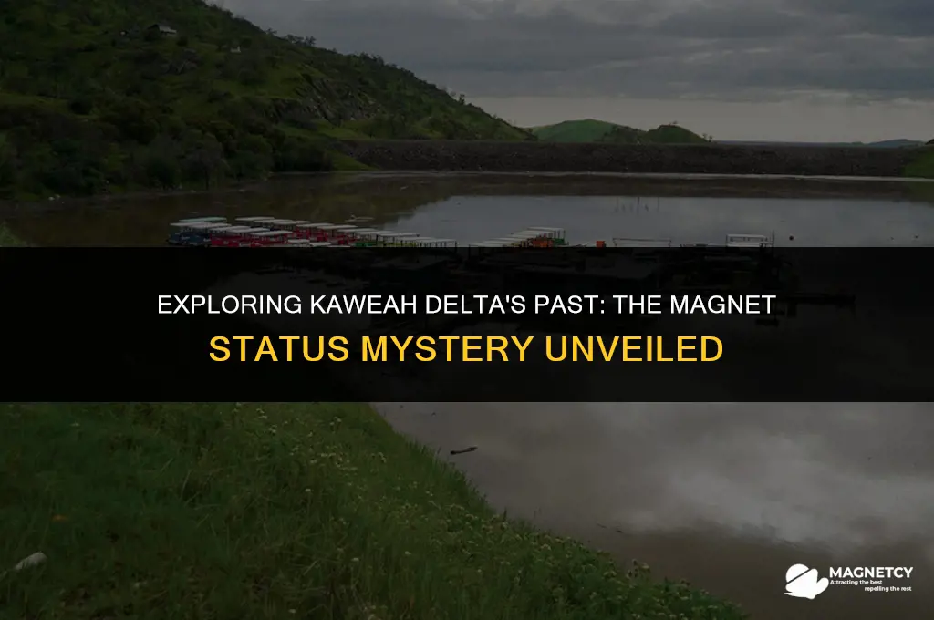 did kaweah delta ever have magnet status