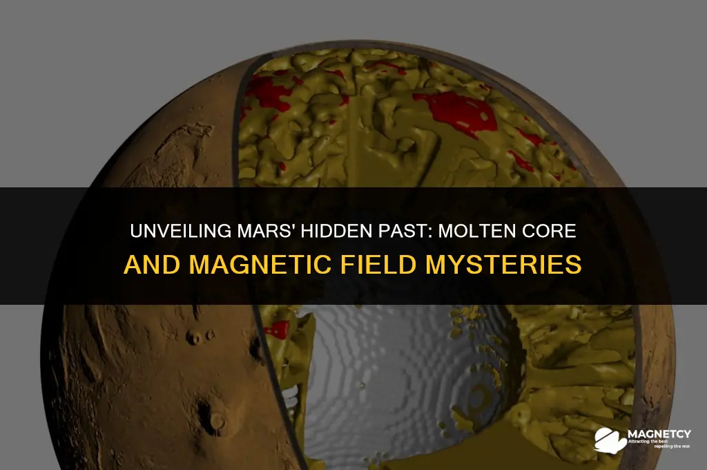 did mars have molten core & magnetic field