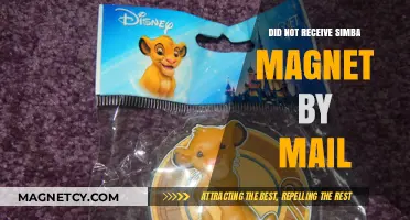 Where's My Simba Magnet? A Tale of Disappointment and Persistence