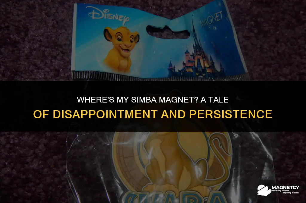 did not receive simba magnet by mail