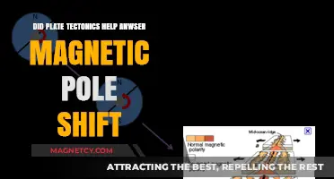 Unraveling Earth's Mysteries: Plate Tectonics and Magnetic Pole Shifts