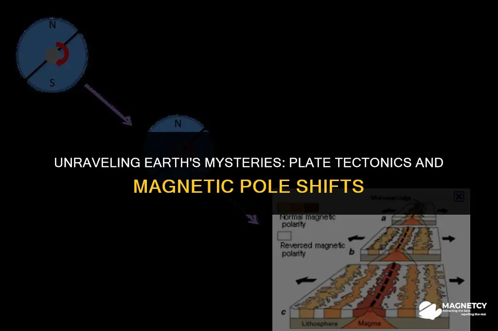 did plate tectonics help anwser magnetic pole shift
