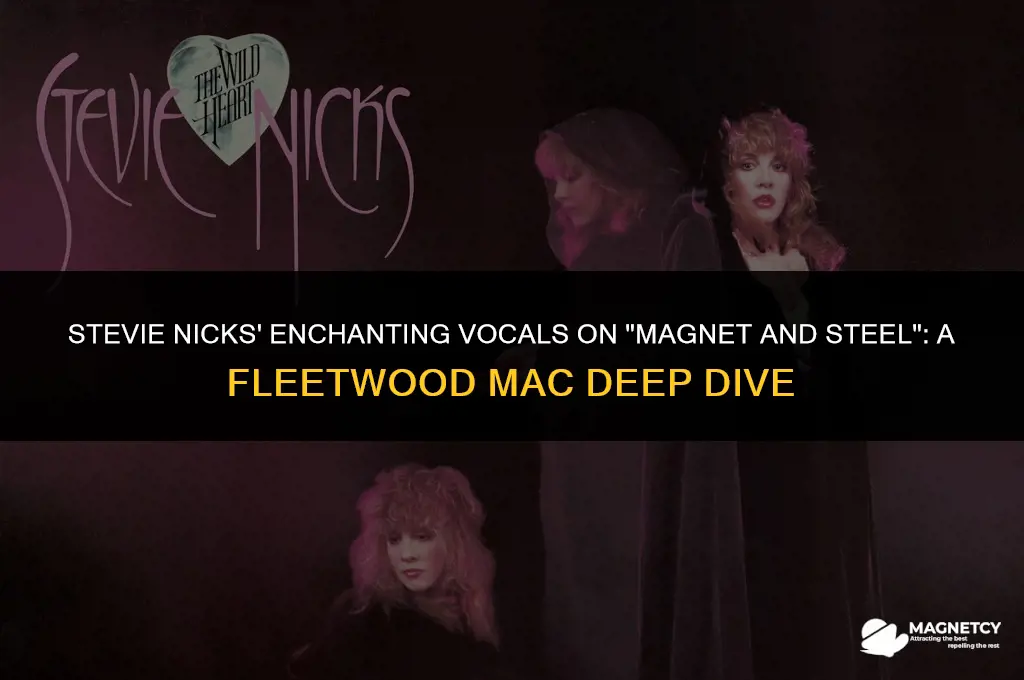did stevie nicks sing on magnet and steel