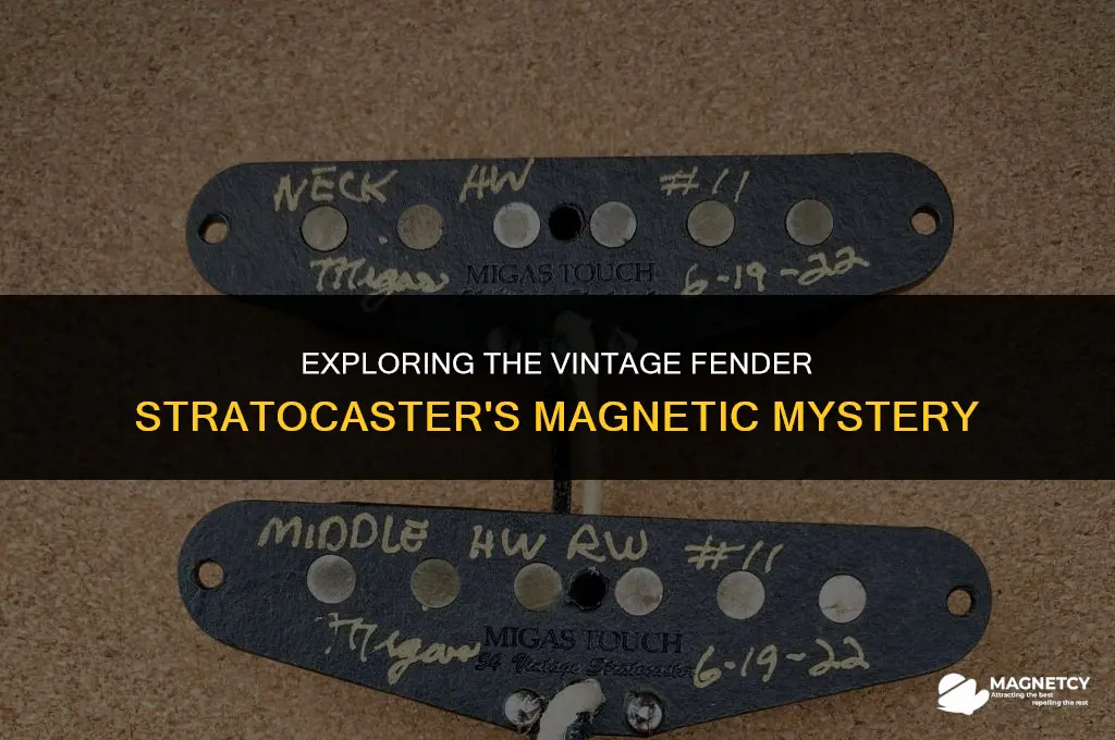 did the 54 strat come with alnico 3 magnets