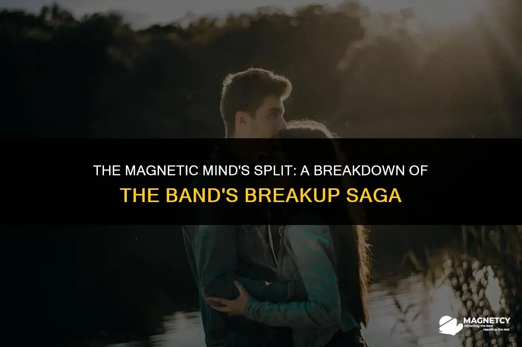 did the band the magnetic mind break up