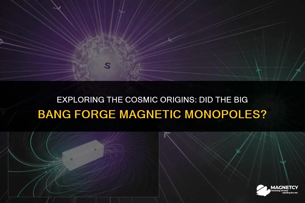did the big bang make magnetic monopoles