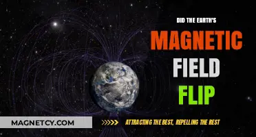 Exploring the Earth's Magnetic Field: Has It Flipped?
