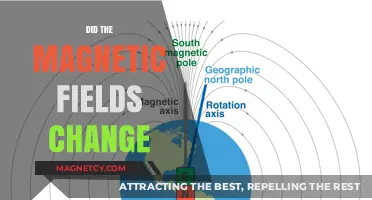 Exploring the Shifts in Earth's Magnetic Fields: A Scientific Journey