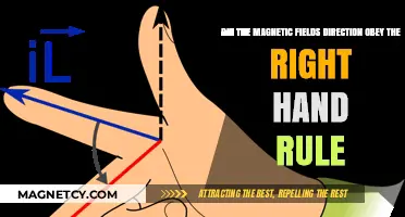Unraveling the Mystery: Did Magnetic Fields Follow the Right-Hand Rule?