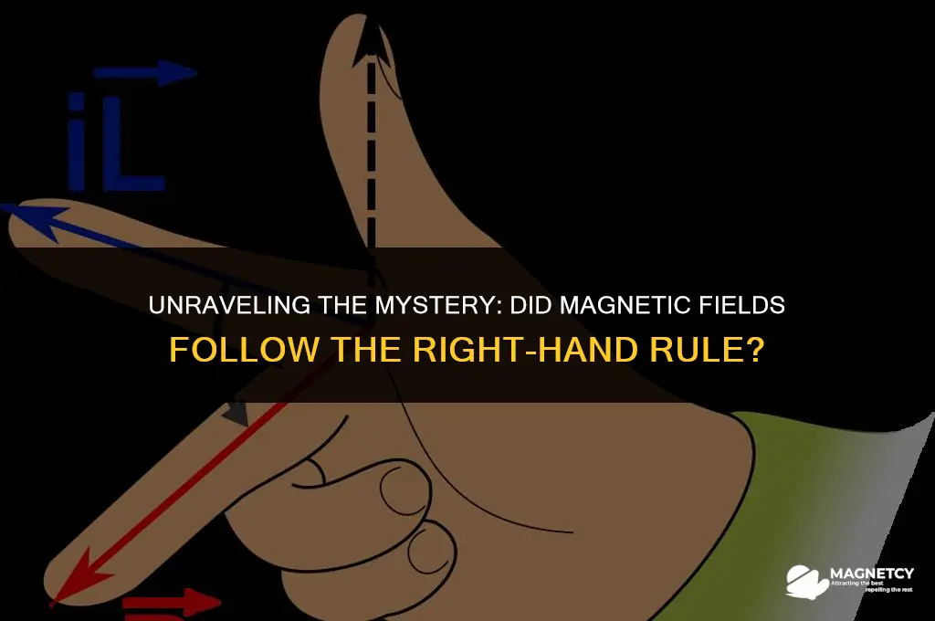 did the magnetic fields direction obey the right hand rule