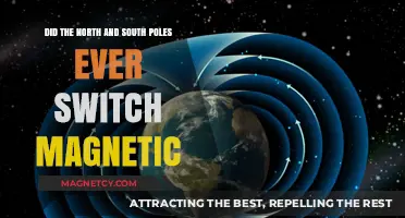 Exploring Earth's Magnetic History: Did the Poles Ever Switch?