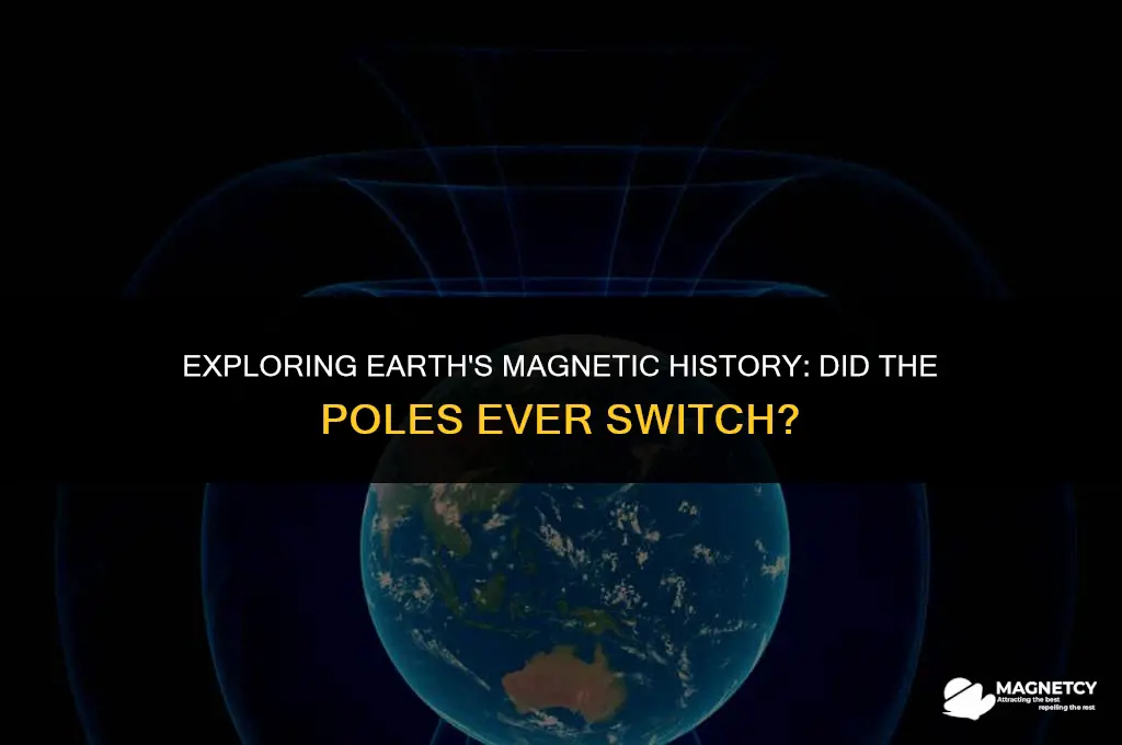 did the north and south poles ever switch magnetic