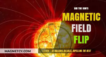 Solar Reversal: Understanding the Sun's Magnetic Field Flip