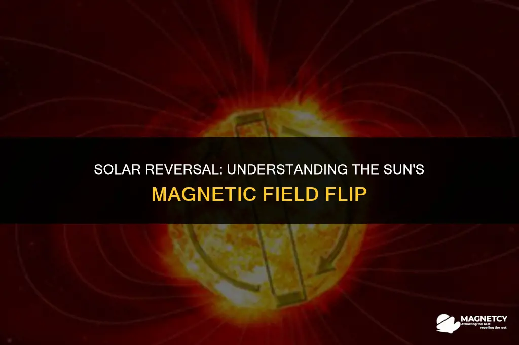 did the sun