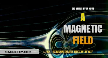 Exploring Venus' Past: The Mystery of Its Magnetic Field