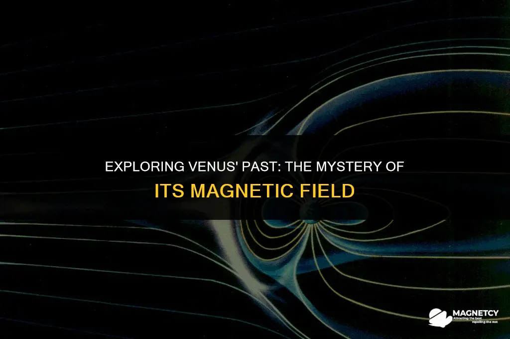did venus ever have a magnetic field