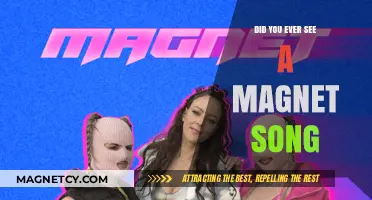 Did You Ever See a Magnet Song: A Lyrical Exploration