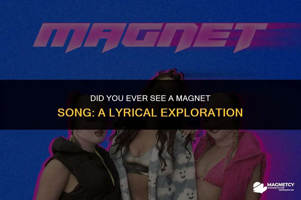 did you ever see a magnet song