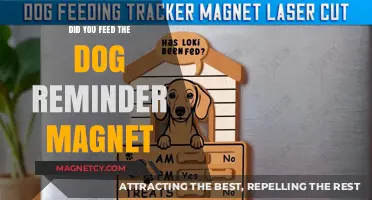 Never Forget to Feed Fido: The Ultimate Reminder Magnet