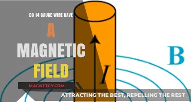 Exploring the Magnetic Properties of 14 Gauge Wire