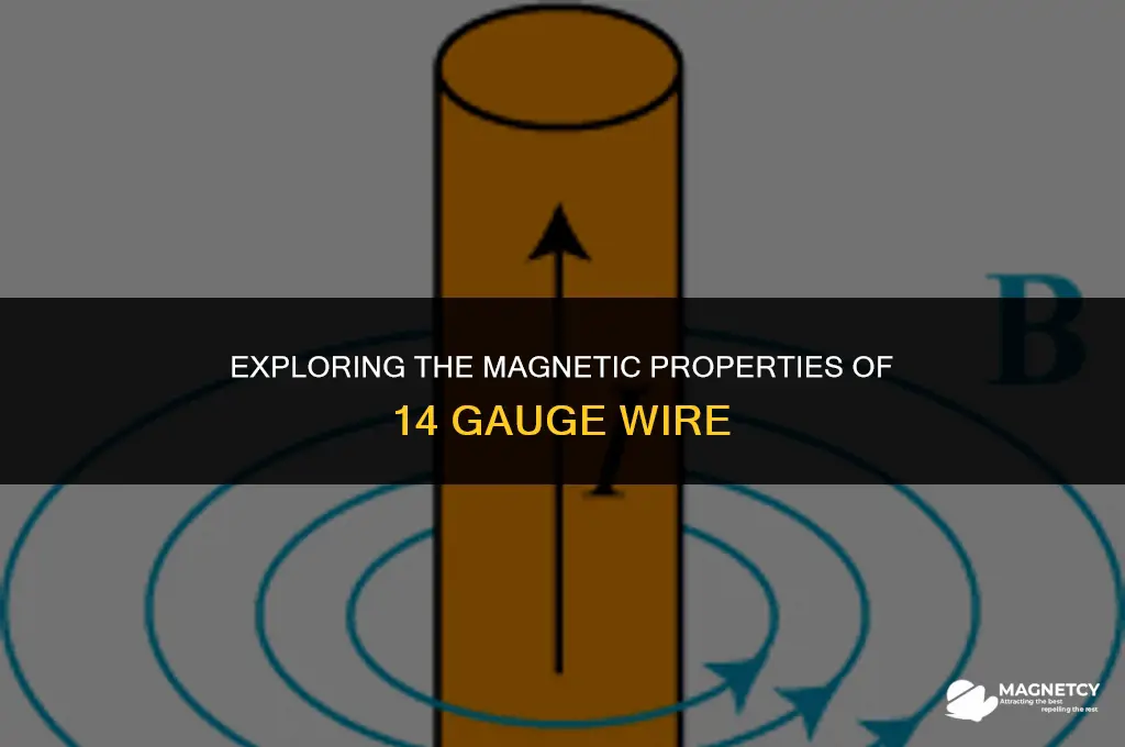 do 14 gauge wire have a magnetic field