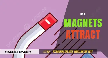 Do Magnets Attract? Unraveling the Science Behind Magnetic Forces