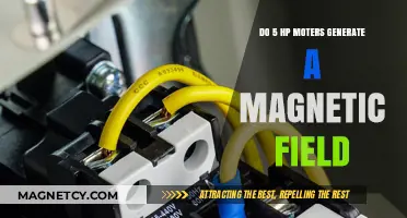 Exploring the Magnetic Field Generation of 5 HP Motors