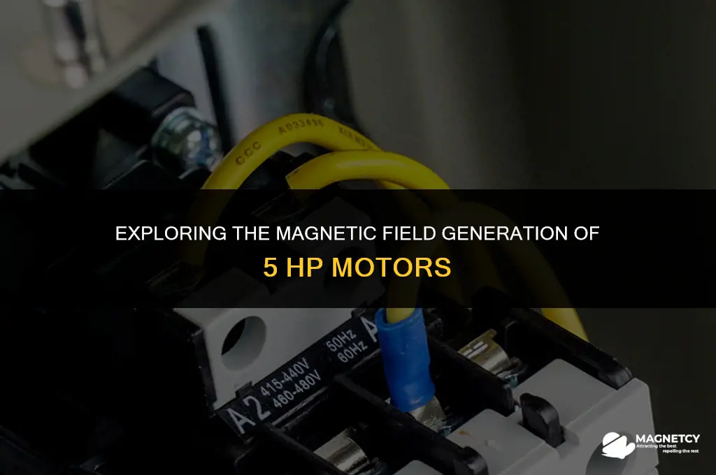 do 5 hp moters generate a magnetic field