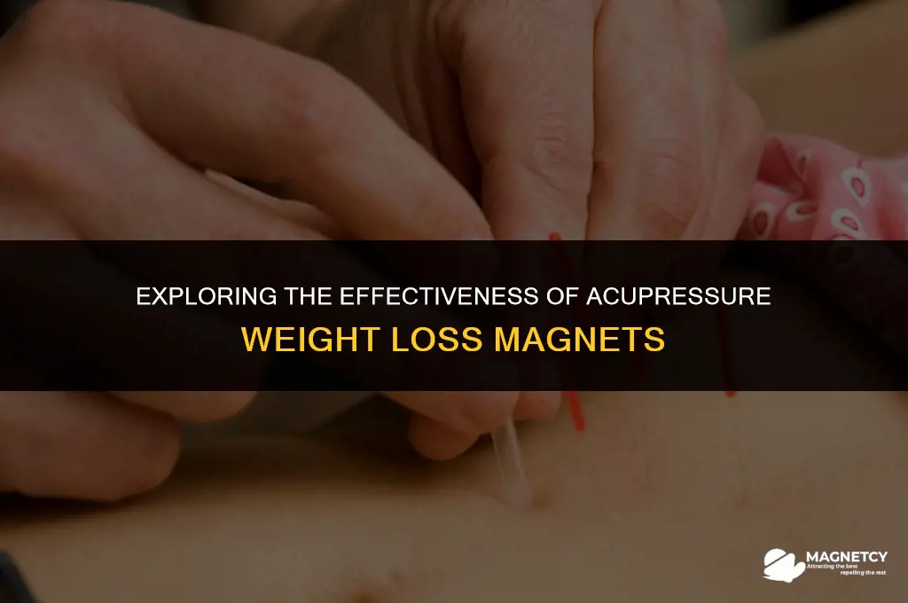 do acupressure weight loss magnets work