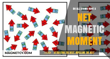 Exploring Atomic Magnetism: Do All Atoms Have a Net Magnetic Moment?