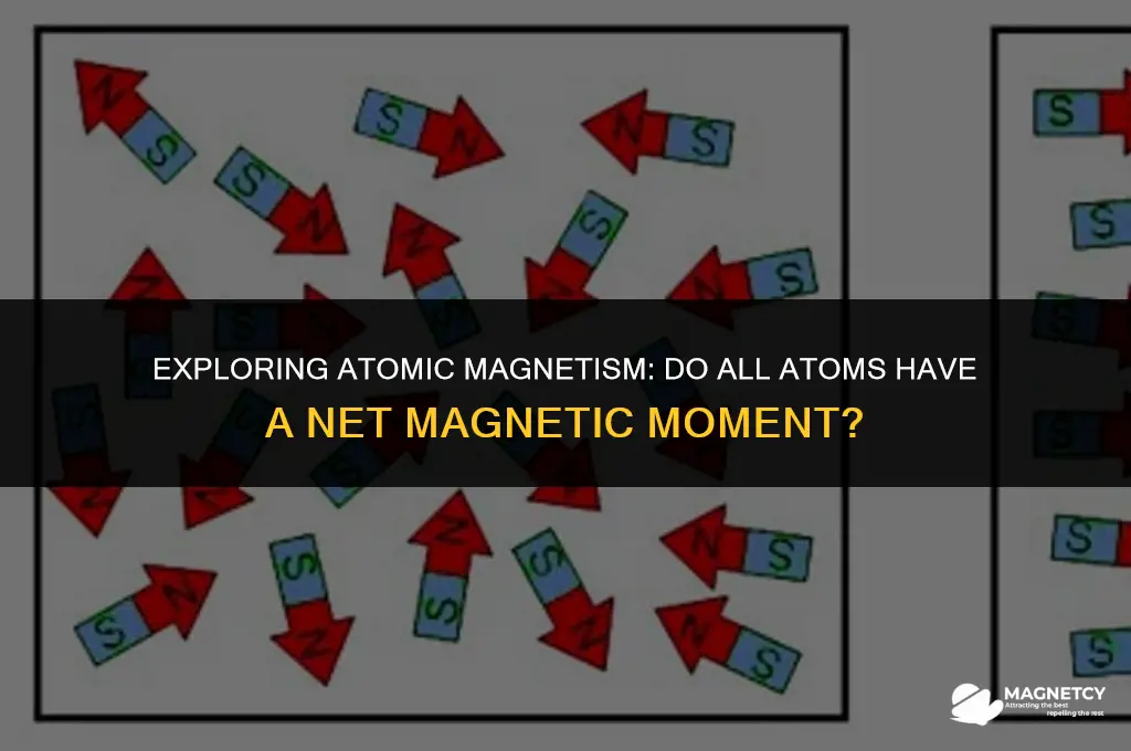 do all atoms have a net magnetic moment
