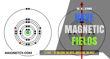 Unveiling the Hidden Magnetism: Do All Atoms Possess Magnetic Fields?