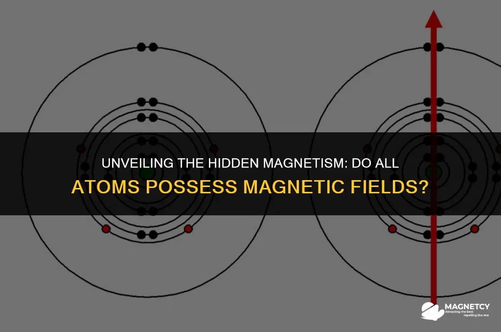 do all atoms have magnetic fields