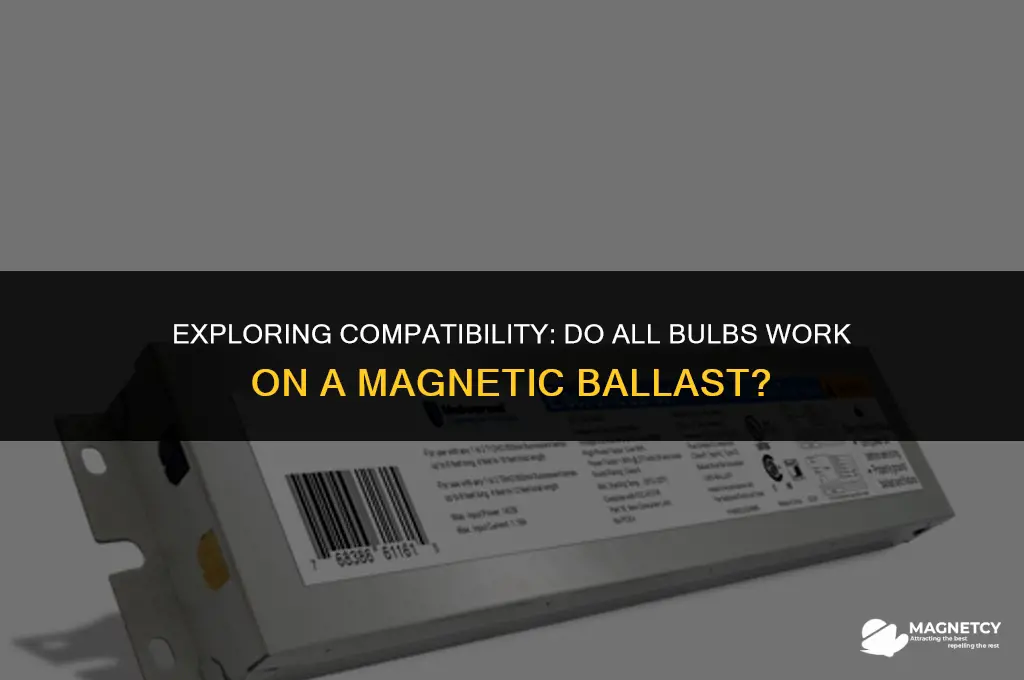 do all bulbs work on a magnetic ballast