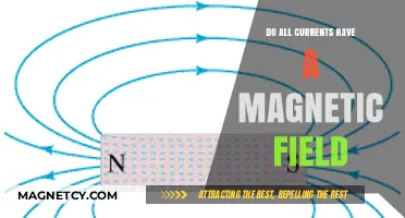 Exploring the Magnetic Mysteries of Electric Currents
