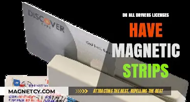 Exploring Driver's License Security: The Presence of Magnetic Strips