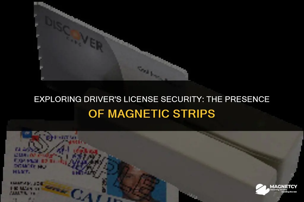 do all drivers licenses have magnetic strips