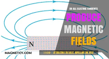 Exploring Electromagnetism: Do All Electric Currents Create Magnetic Fields?