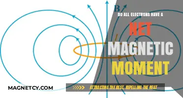 Exploring the Magnetic Nature of Electrons: A Comprehensive Overview