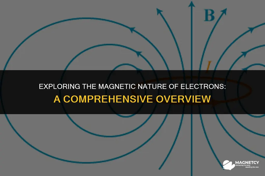 do all electrons have a net magnetic moment