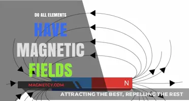 Exploring the Magnetic Mysteries: Do All Elements Have Magnetic Fields?